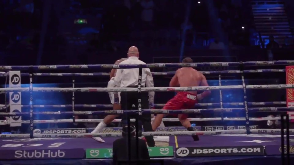 Anthony Joshua's stunning knockout against Kubrat Pulev 