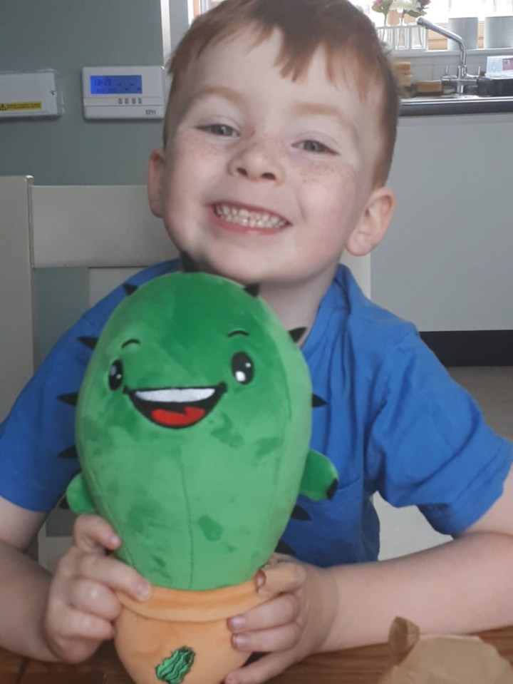 Lorcan, six, hilariously shouts out 'them b******s' when he sees the holes 