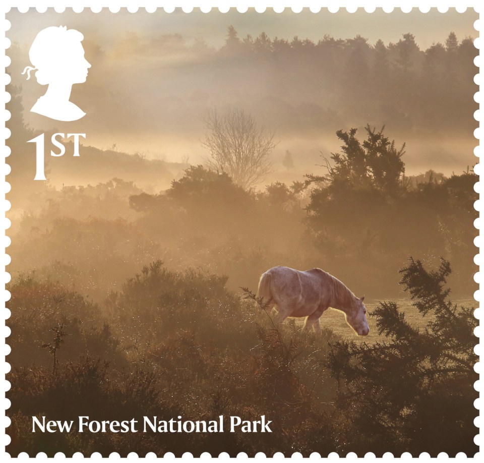 This stamp celebrates New Forest National Park's fauna and flora 