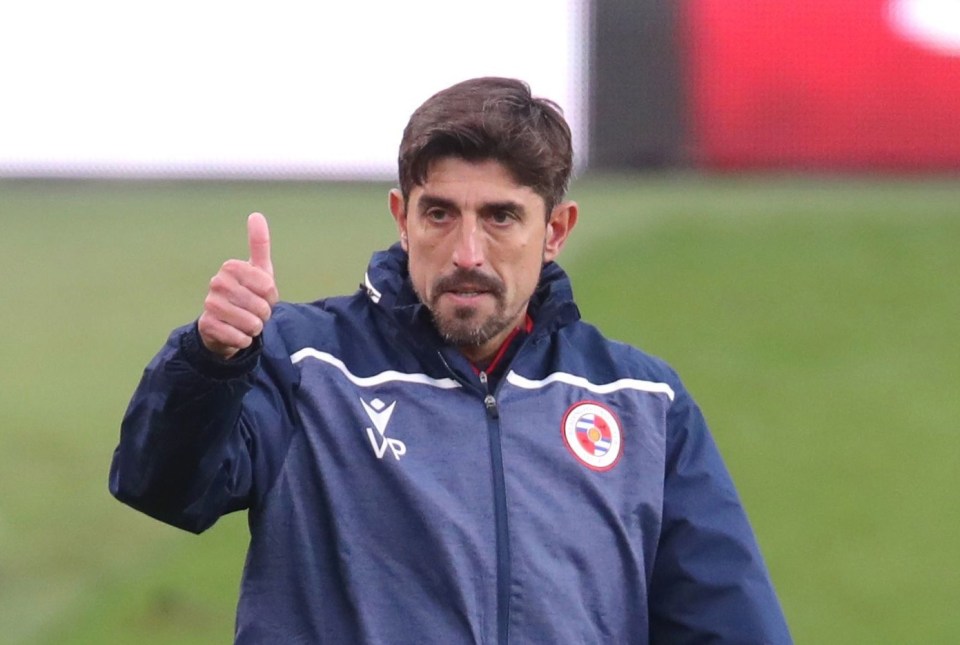 Reading boss Veljko Paunovic is reportedly another man on Serbia's shortlist