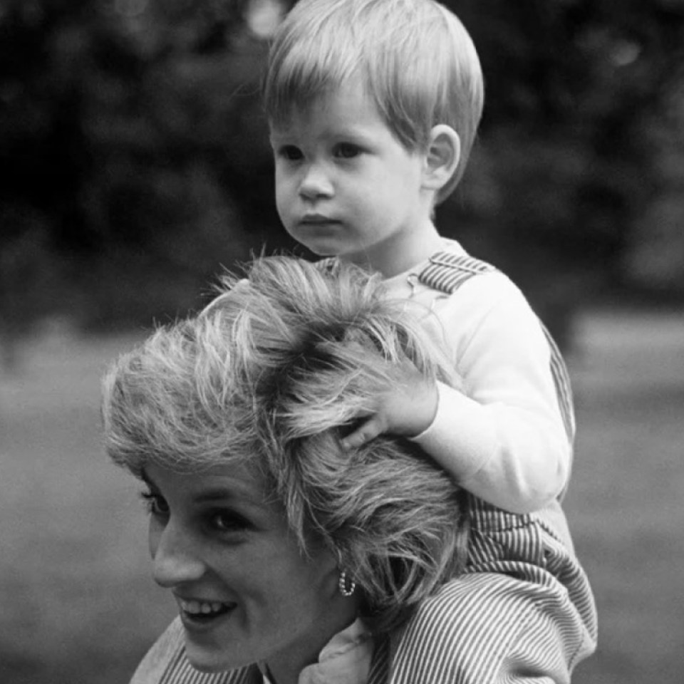 Harry described himself as 'my mother's son' in the introductory poem