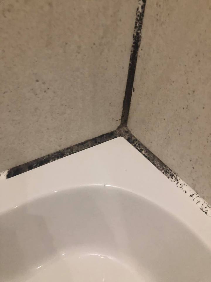 A woman begged for help getting rid of this thick, black bathroom mould and you won't guess what she used