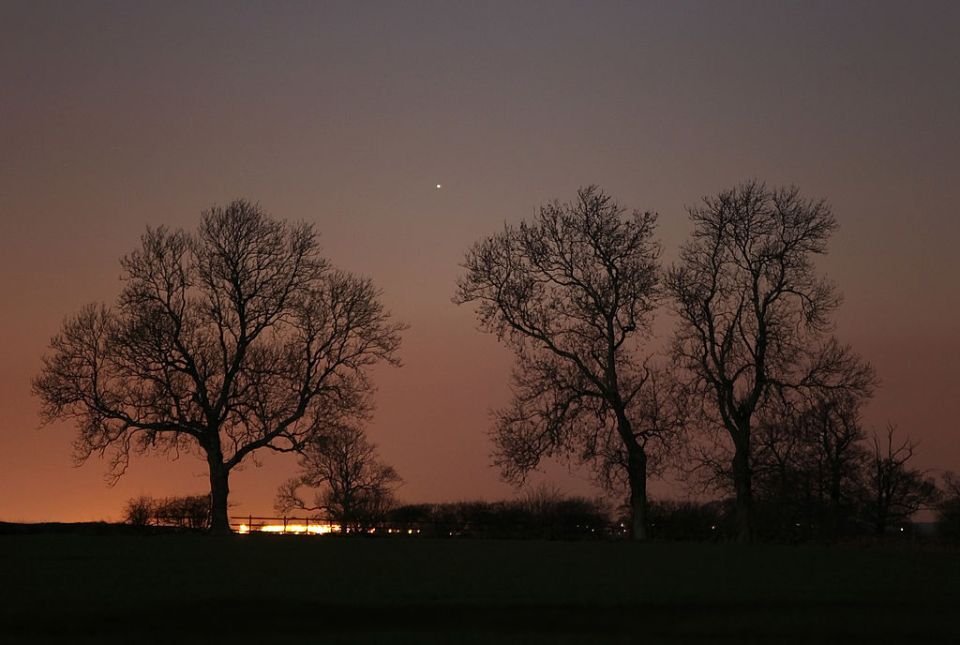 The planet will look like a bright star in the sky