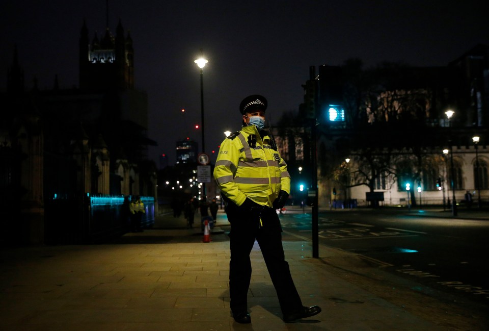 Scotland Yard told Londoners they can expect officers to be "more inquisitive as to why they see them out and about"