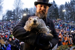 Every year, Punxsutawney Phil predicts the arrival of spring on Groundhog day