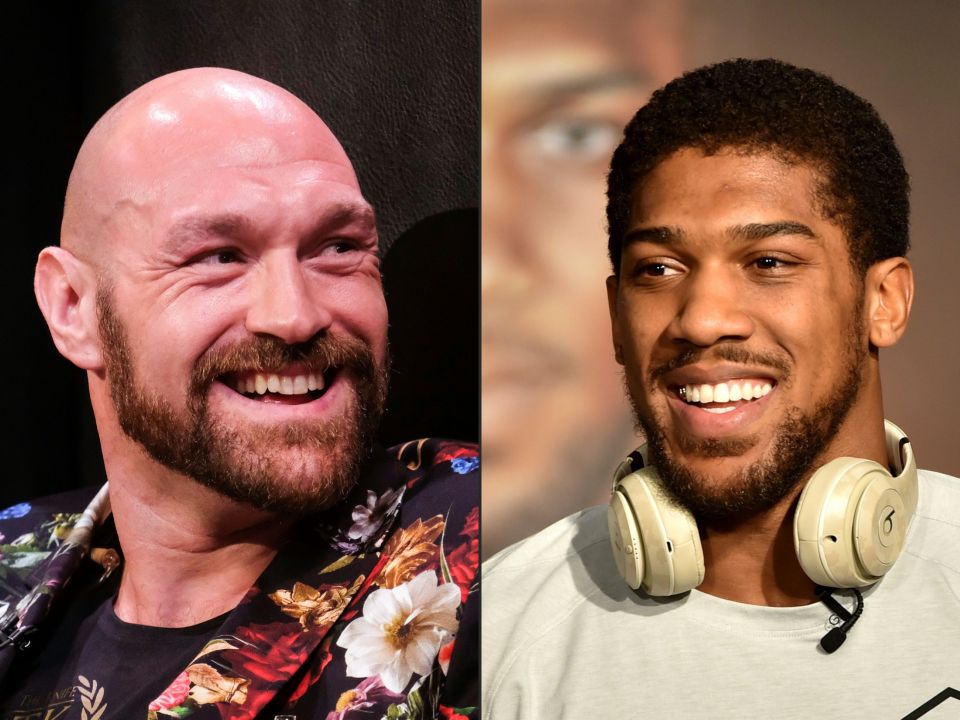 Fury and Joshua are set to fight to become the first undisputed heavyweight champion since Lennox Lewis