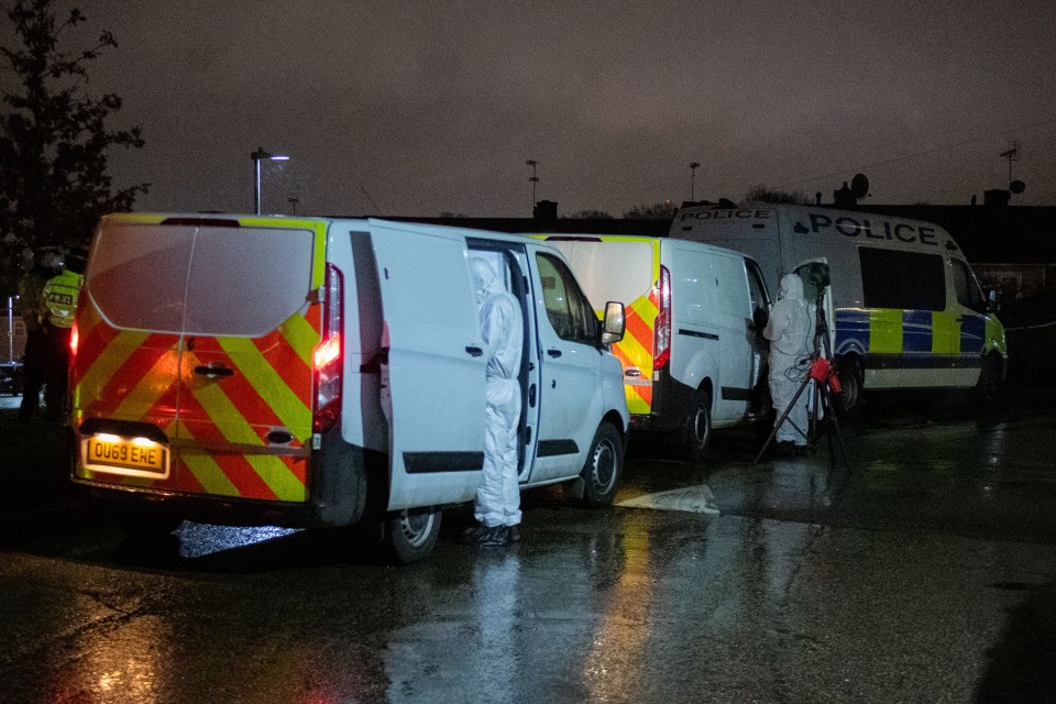 Forensic investigators carry out an investigation