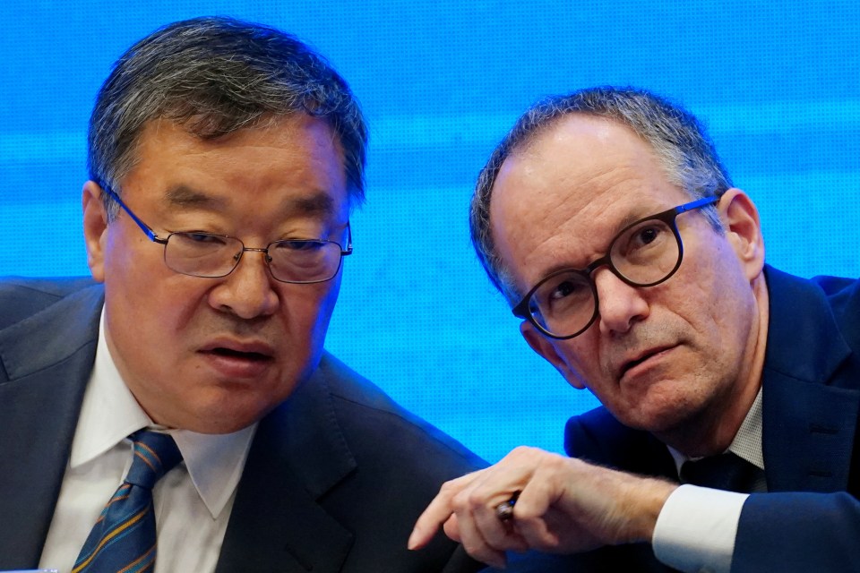 WHO mission chief Dr Peter Ben Embarek and his Chinese counterpart Liang Wannian