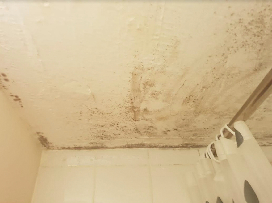 The family claim their flat had been mouldy since they moved in