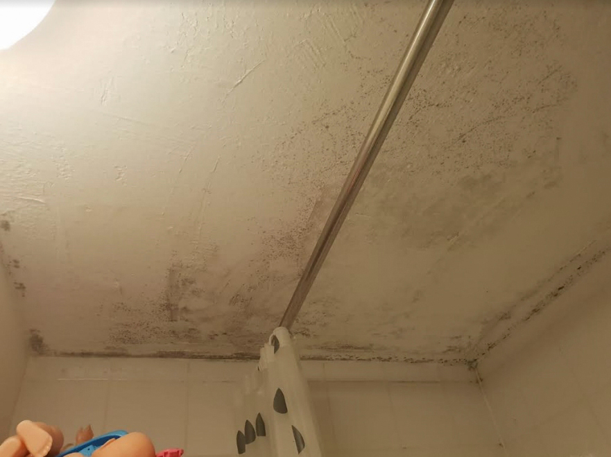 Mr Gould said that mould started to appear around the flat from when they moved in during summer 2018