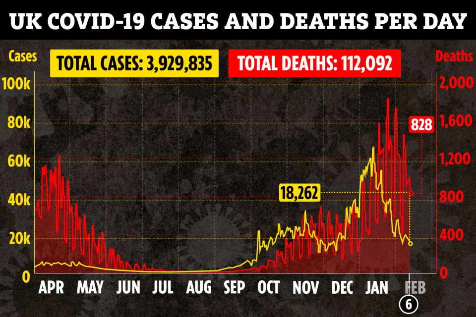 Cases of coronavirus in the UK are finally plunging after a record spike
