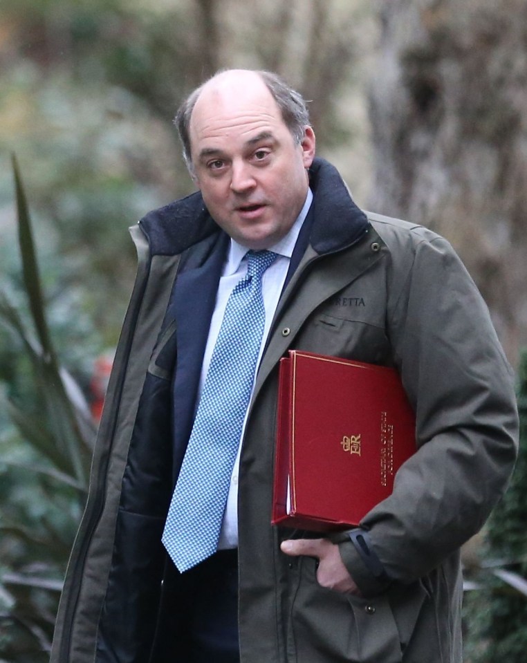Ben Wallace said the UK as facing a growing threat of chemical and biological attacks