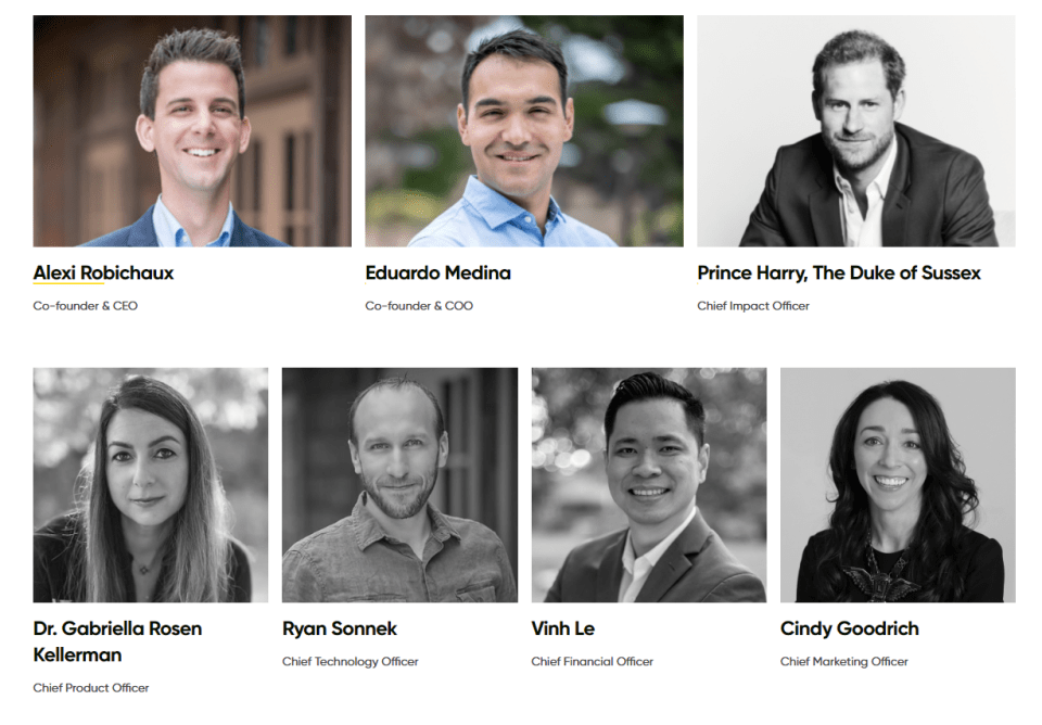 Harry is pictured on the company's website alongside other members of its leadership team