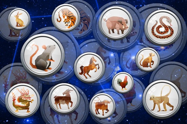 Daily chinese horoscope