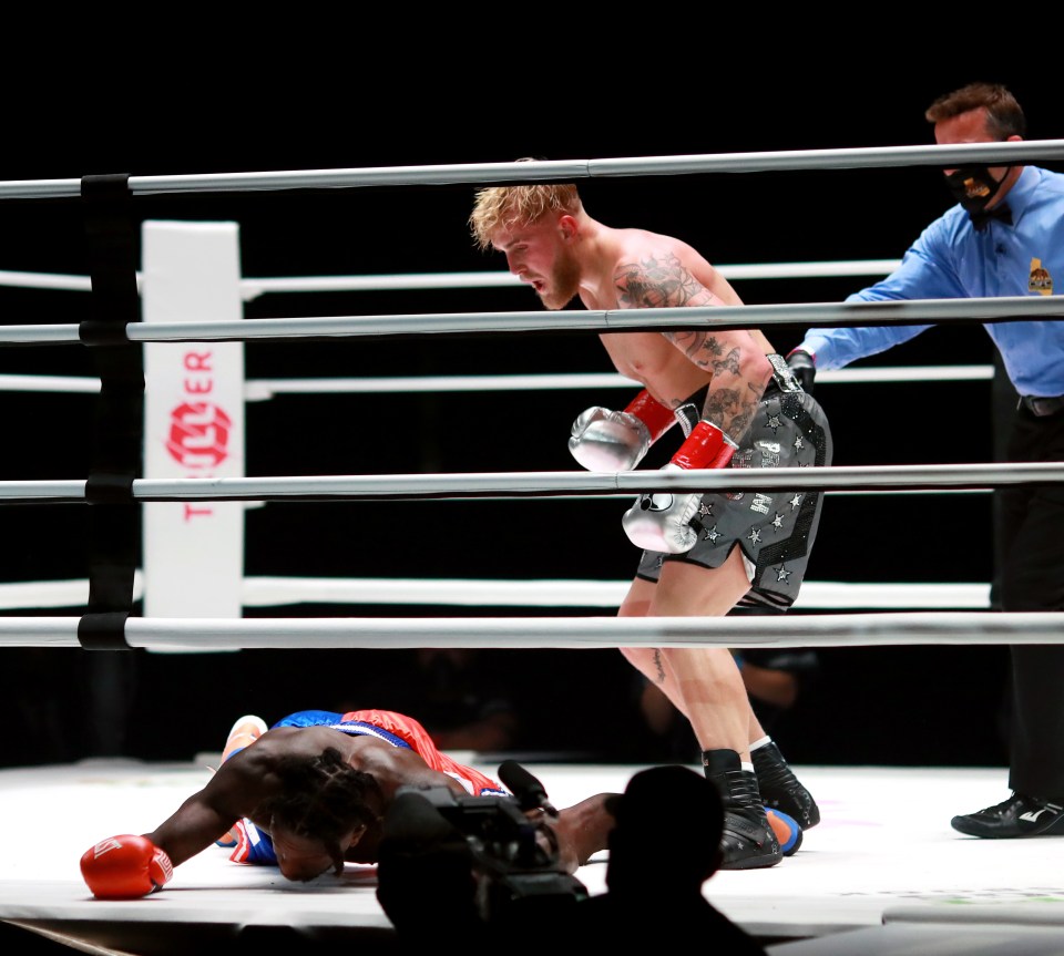 NBA star Nate Robinson suffered a brutal loss to Jake Paul last November