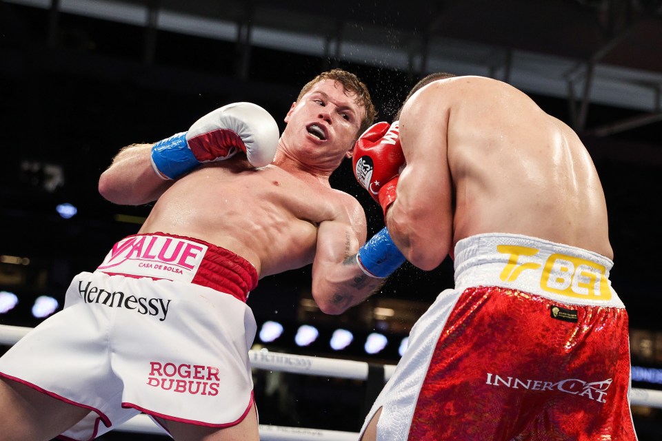 WBA super-middleweight king Canelo Alvarez isn't a fan of YouTube fights