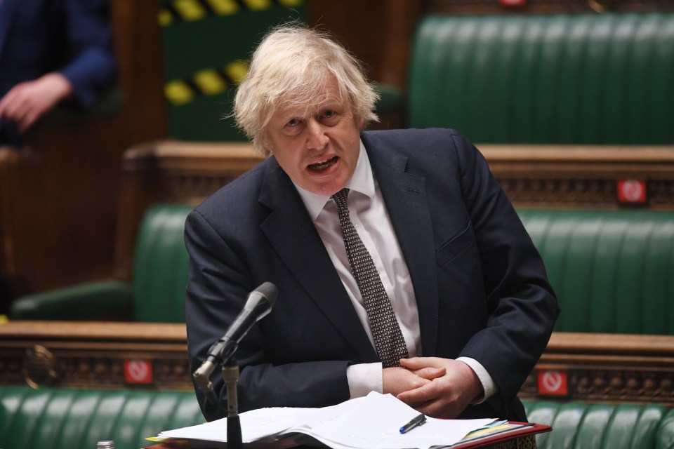 MPs voted through the new Covid laws last week