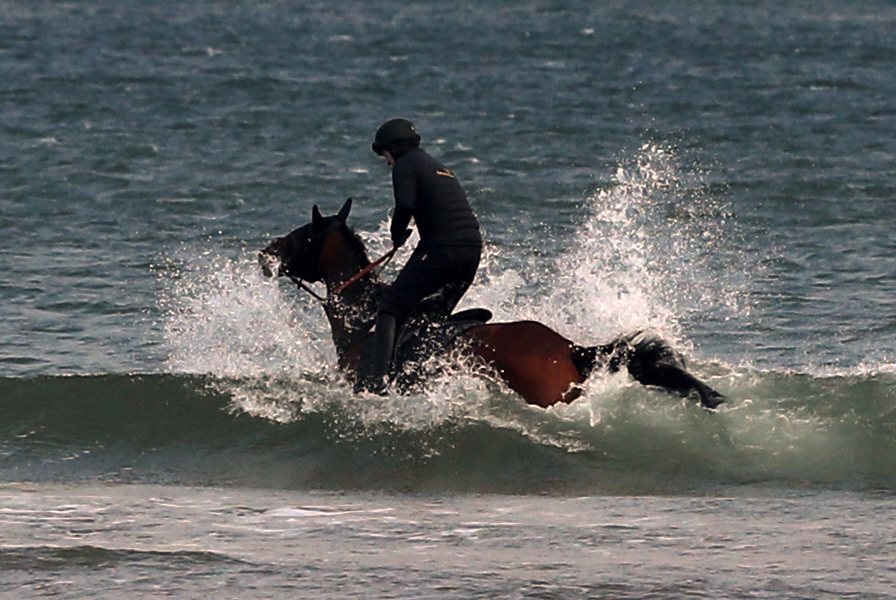A man rides a horse at Bamburgh beach, Northumberland