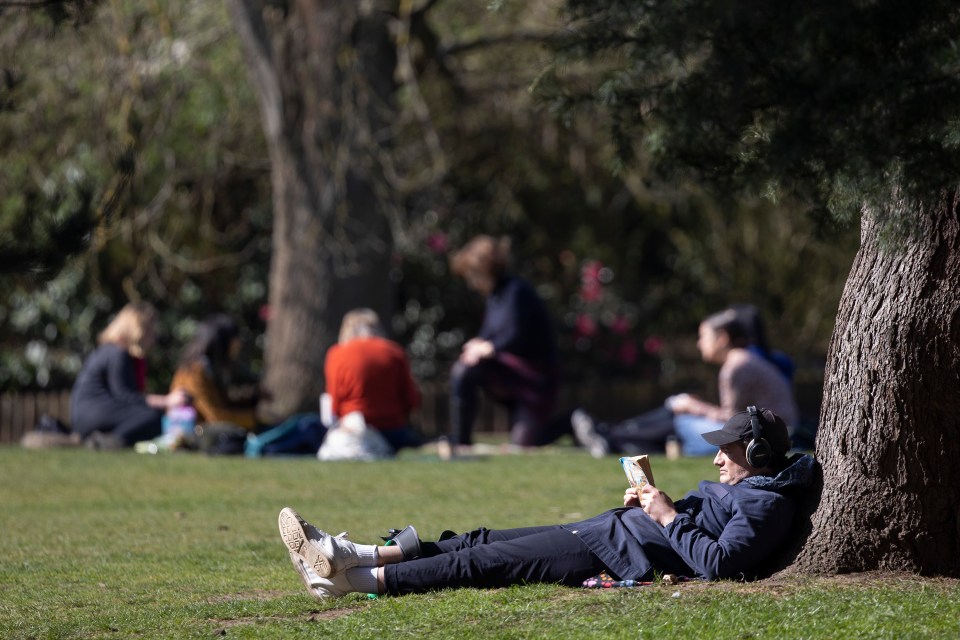 A man reads a book as he relaxes in the sun in Greenwich Park, south east London