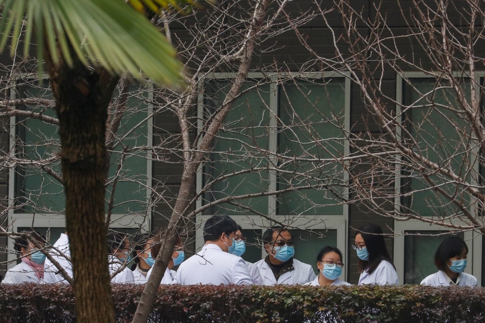 WHO team investigate Covid-19 origins in Wuhan, China