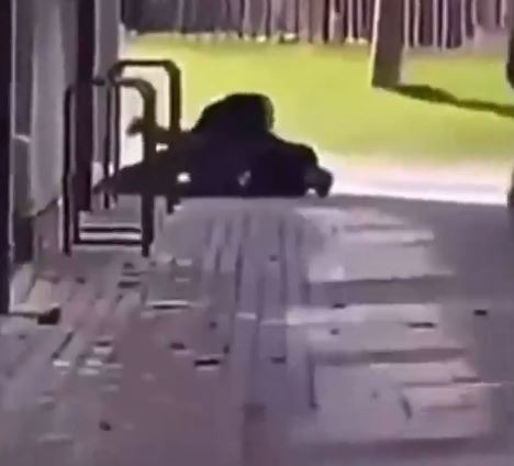 Shocking footage shows the moment an alleged gunman was tackled to the ground at a college