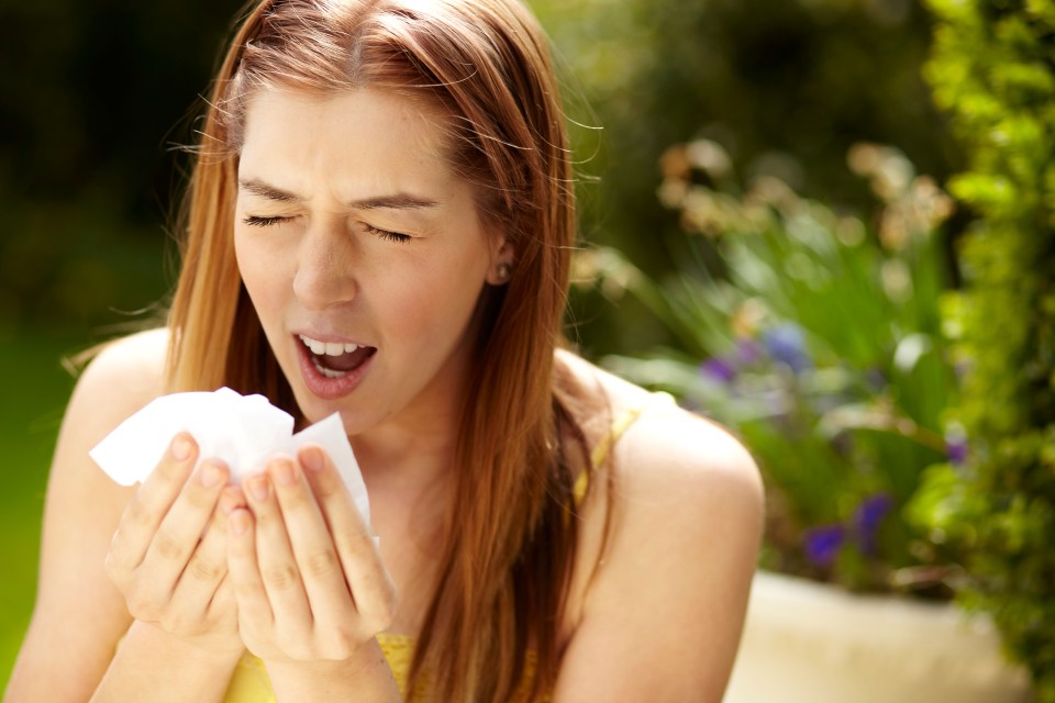 Hay fever affects millions more than previously thought, a survey suggests