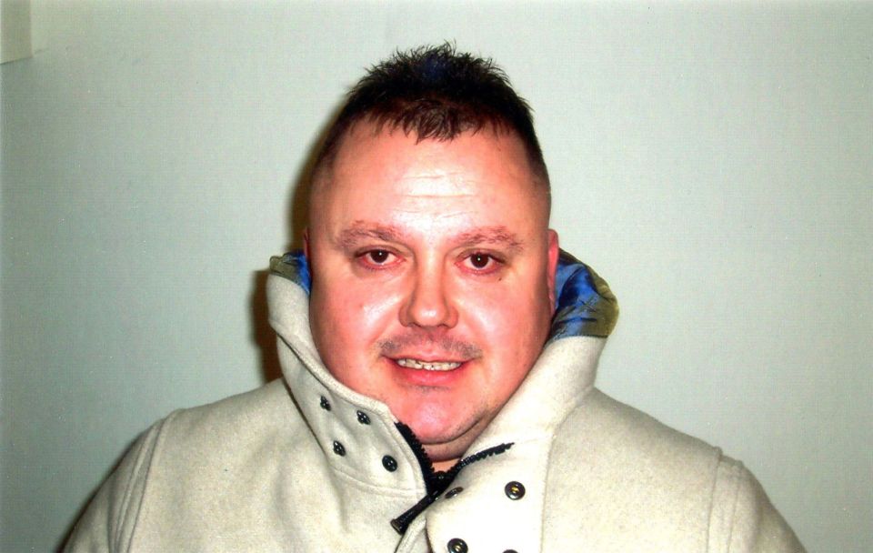 Levi Bellfield was convicted of the murder of Milly Dowler in 2011