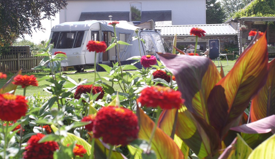 Ross Park is a colourful place to pitch up with flower displays, a conservation walk through glorious wildflower meadows and a tropical conservatory