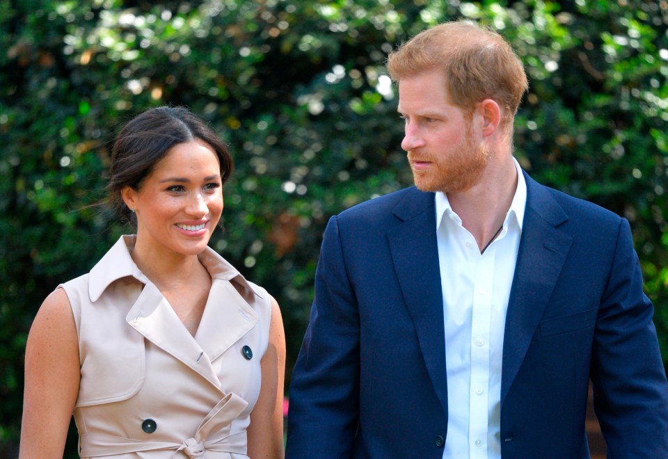 The royal pair are approaching private companies to encourage them to support WHO initiative Covax as part of Vax Live, they said
