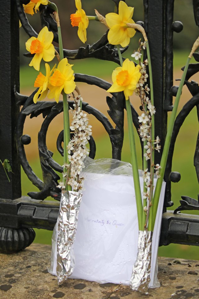 Daffodils with a letter to The Queen in front of The Norwich Gates at Sandringham