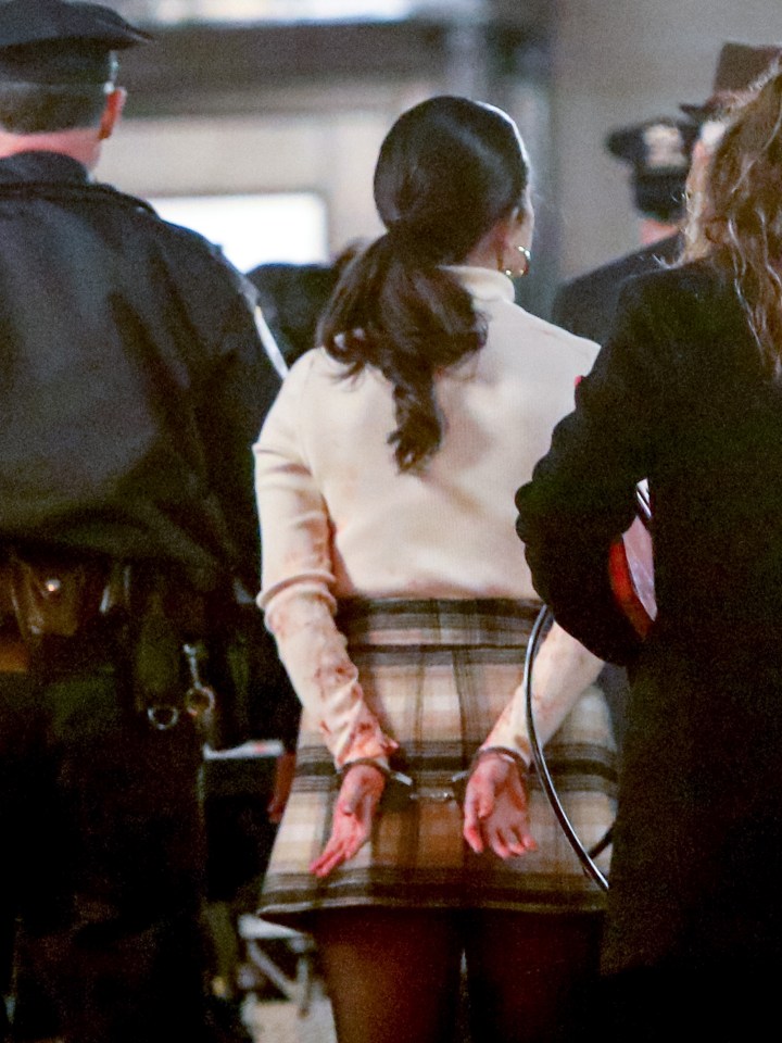 The series is about true crime fans who get caught up in their own mystery