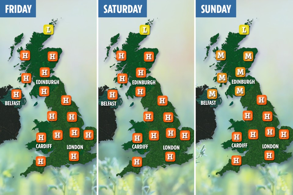 The pollen count over the next few days showing low (L) medium (M) and high (H)