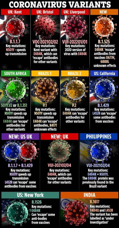 New coronavirus variants, not all of which are in the UK