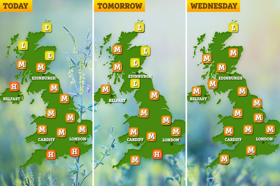 The Met Office pollen forecast for the next three days