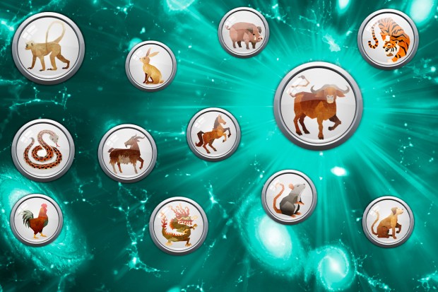 Daily Chinese Horoscope