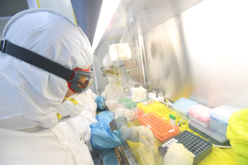 An investigation into the origins of the Covid-19 pandemic includes a theory it might have emerged from a lab in Wuhan