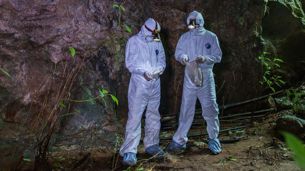 Chinese scientiss recovered samples from the Mojiang mine which were studied at WIV