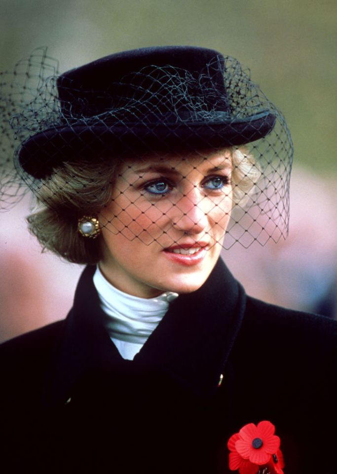 In the November 1995 programme, watched by 23million, Diana described her affair with former Army officer James Hewitt, saying she adored him