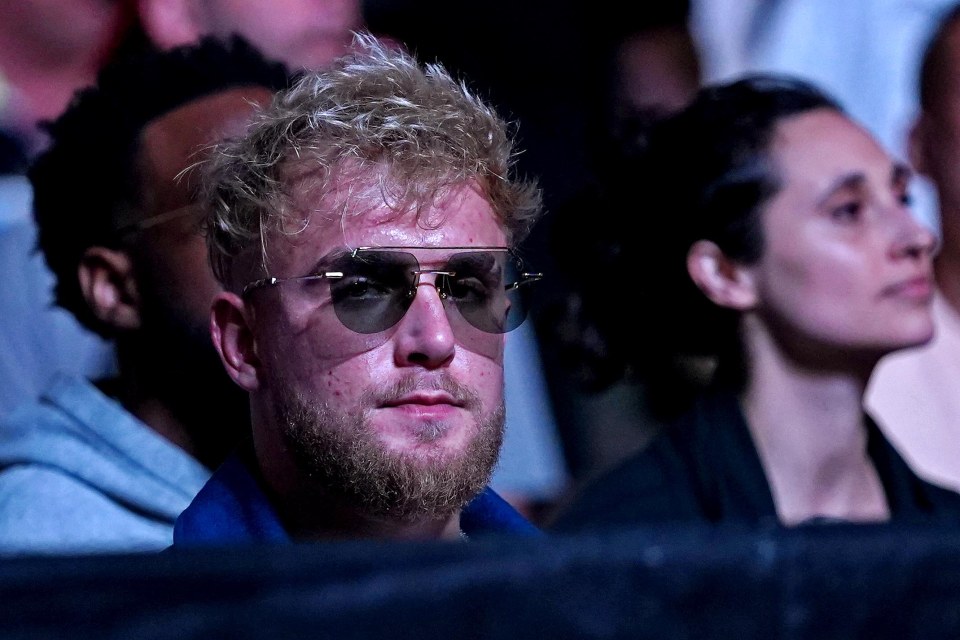 Jake Paul pictured at UFC 261 in Florida