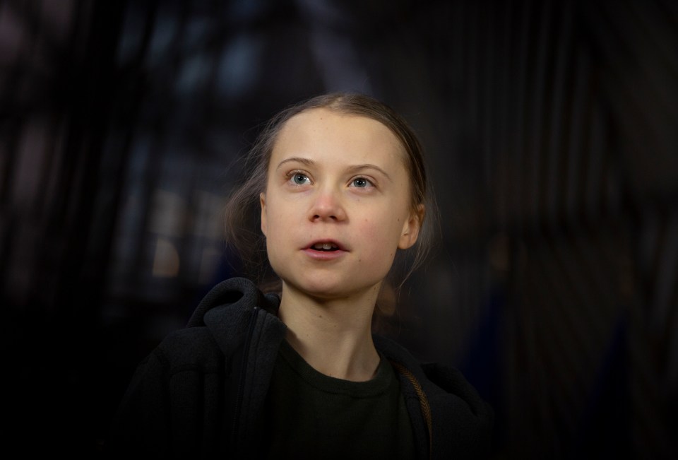 Greta Thunberg and climate campaigners think the crucial summit should be held virtually