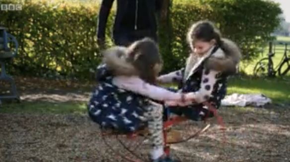The grandmother got the roundabout swing restored for her grandkids