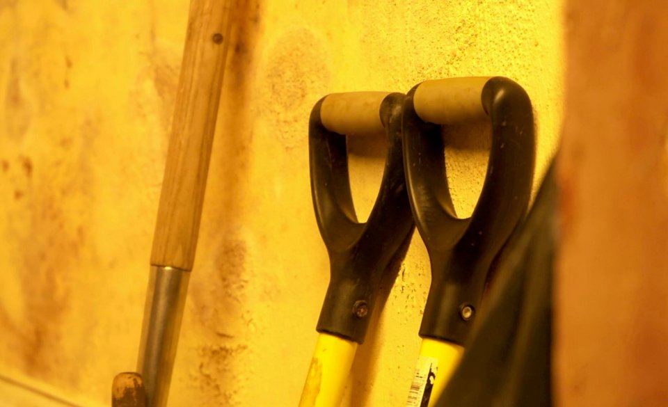 Shovels that have been used in the excavation in the Clean Plate Cafe in Gloucester