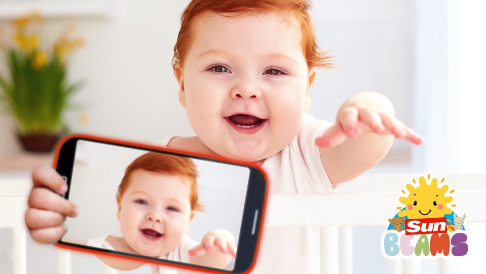 Six babies have made our final, but who should be the winner?
