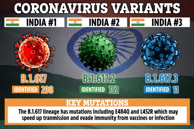 B.1.617.2 is one of three new variants in the UK that were first detected in India