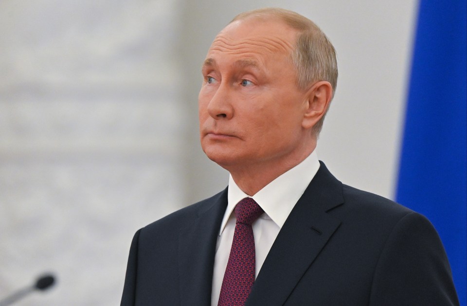 Vladimir Putin's fears over what happened to Gaddafi are thought to have turned him against the West