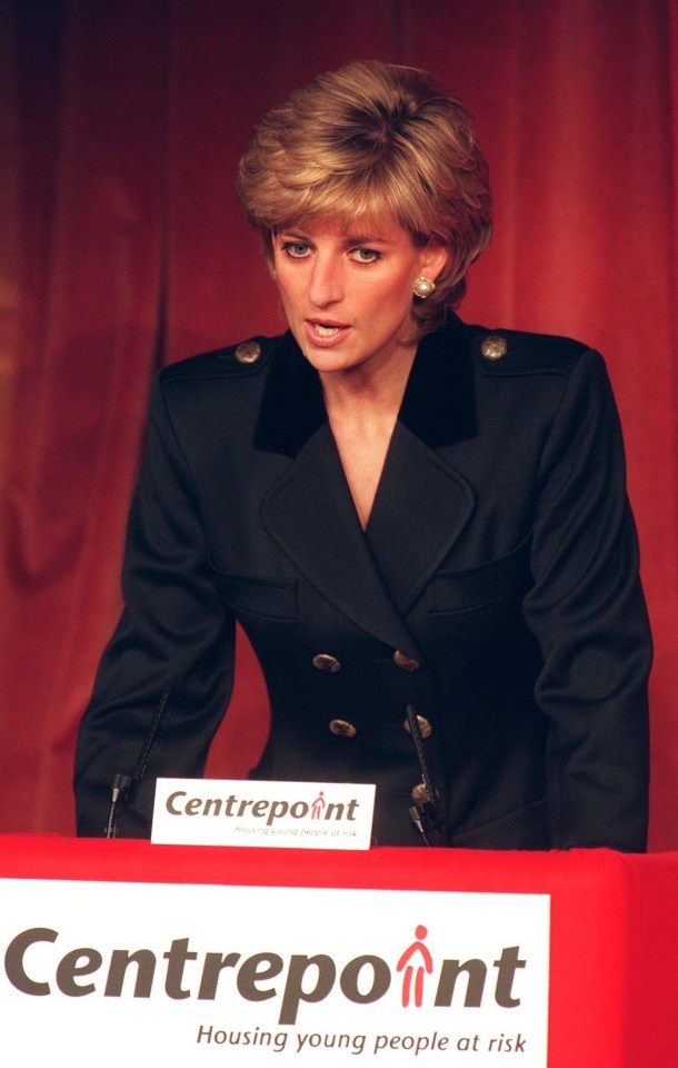 Many believe that William and Harry were Princess Diana's greatest achievement