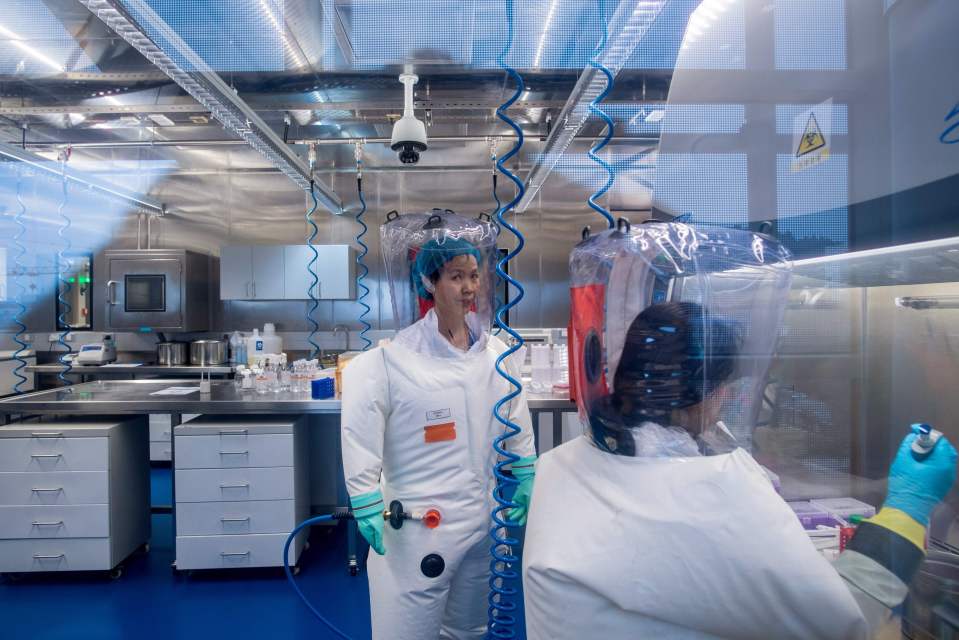 Chinese virologist Shi Zhengli inside the laboratory in Wuhan