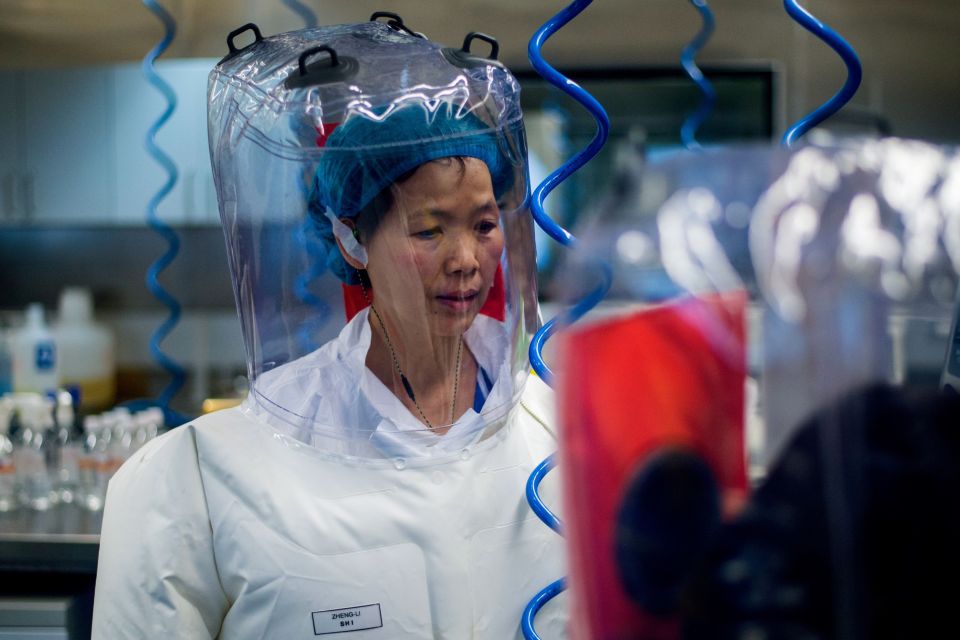Dr Shi Zhengli has always furiously denied any allegations over Covid