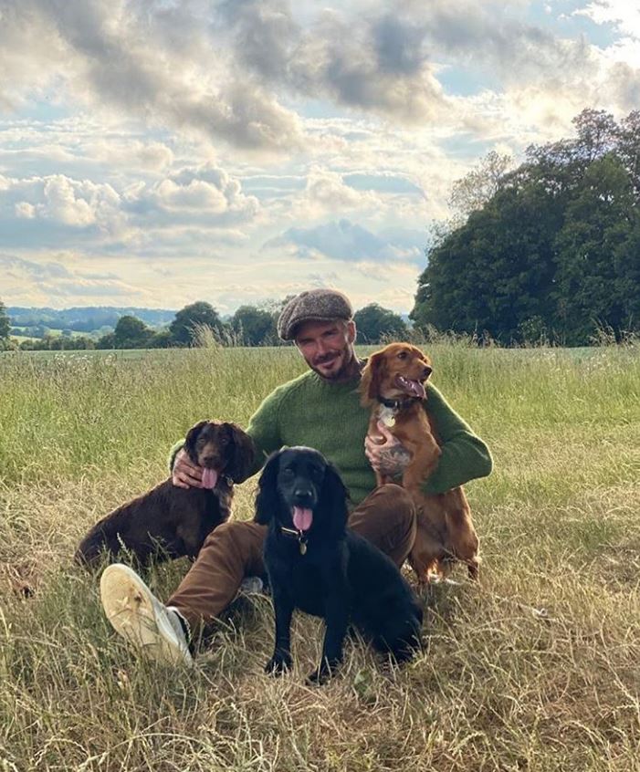 David Beckham with his dogs in his rural bolthole