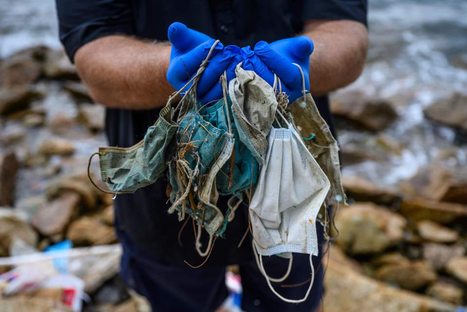 100,000 marine animals are killed by plastic pollution every year